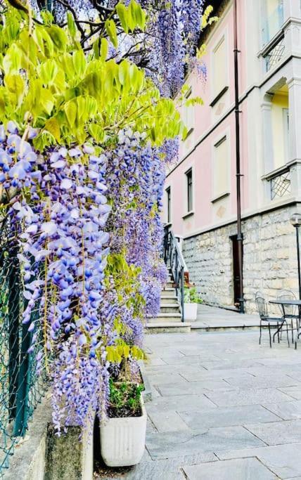 Charming & Luxury Villa Como Lake Exterior photo